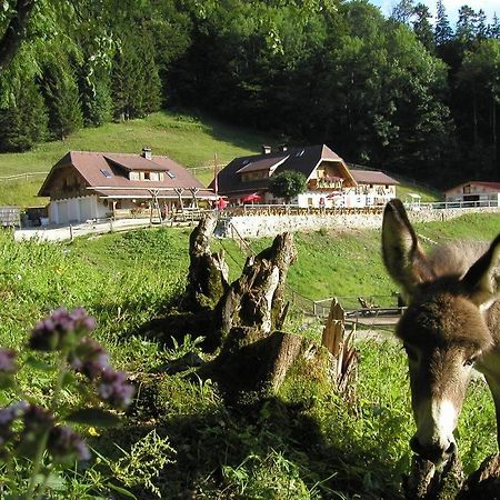Ferienwohnung Hochsteinalm Traunkirchen Kültér fotó