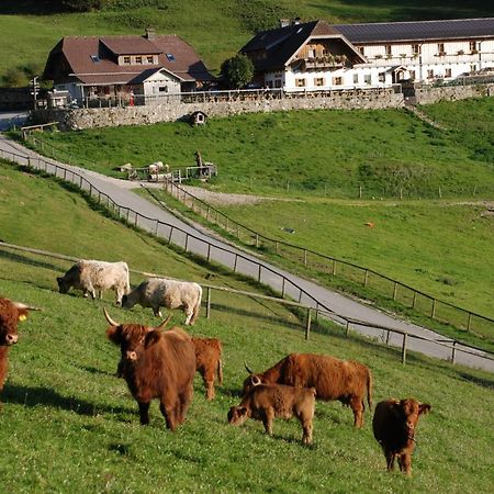 Ferienwohnung Hochsteinalm Traunkirchen Kültér fotó