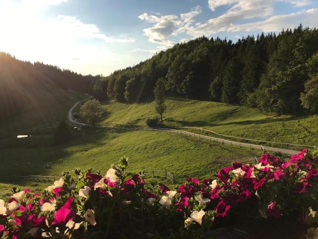 Ferienwohnung Hochsteinalm Traunkirchen Kültér fotó