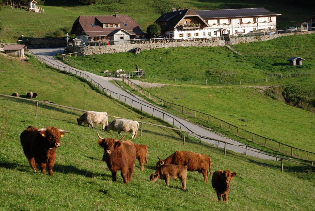 Ferienwohnung Hochsteinalm Traunkirchen Kültér fotó