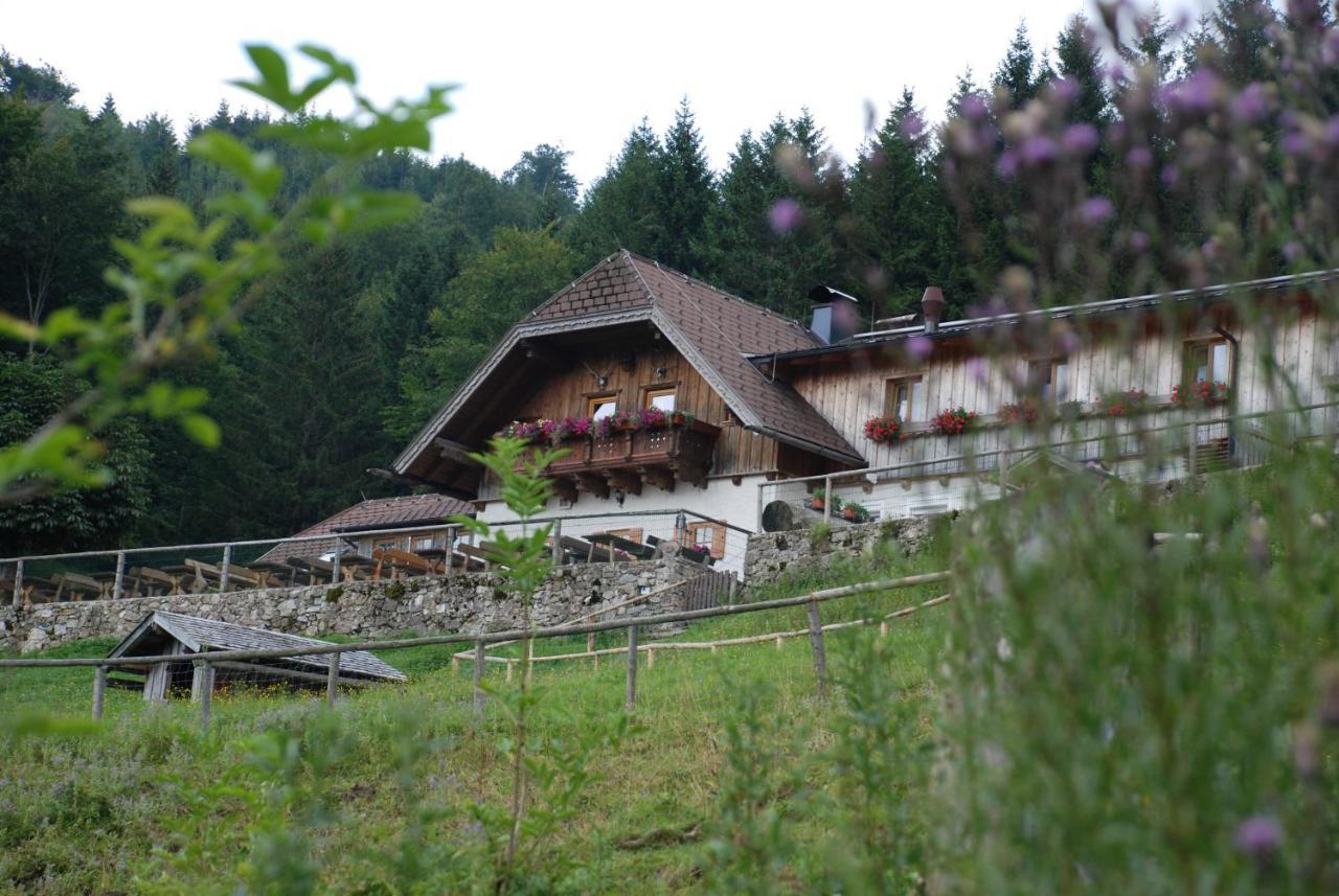 Ferienwohnung Hochsteinalm Traunkirchen Kültér fotó