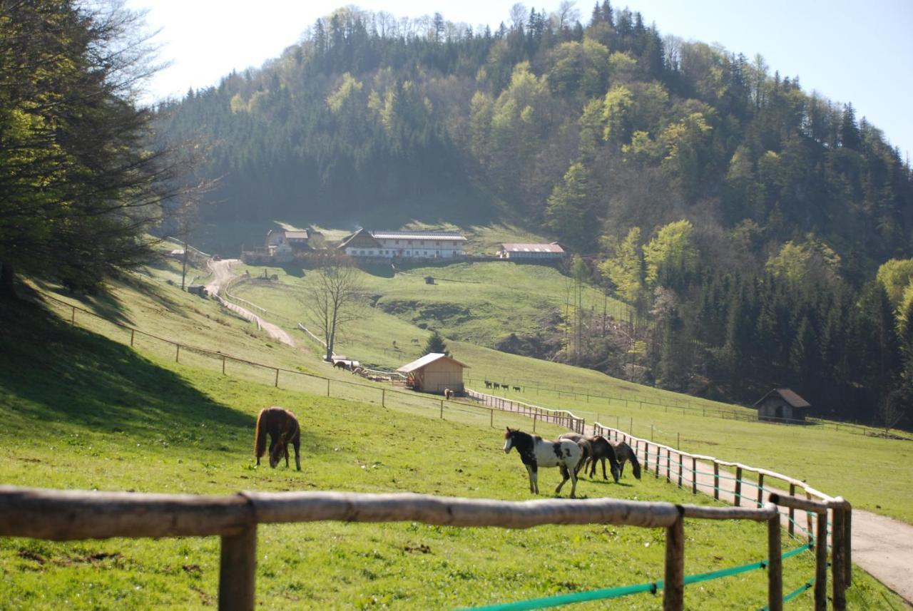 Ferienwohnung Hochsteinalm Traunkirchen Kültér fotó